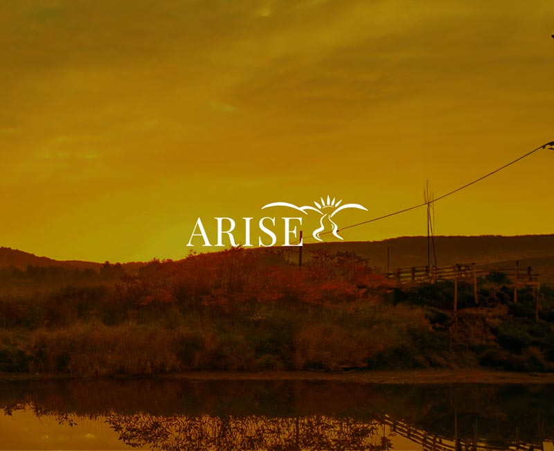 Arise